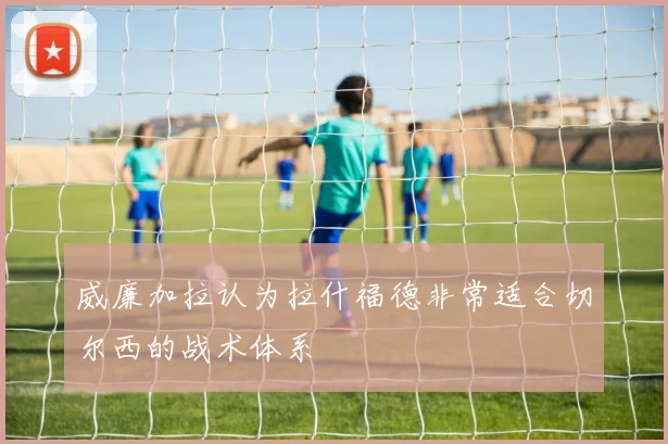 威廉加拉认为拉什福德非常适合切尔西的战术体系