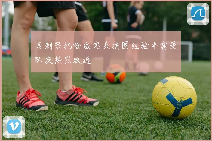 马刺签托哈成完美拼图经验丰富受队友热烈欢迎